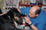 AUSCULTATION 258